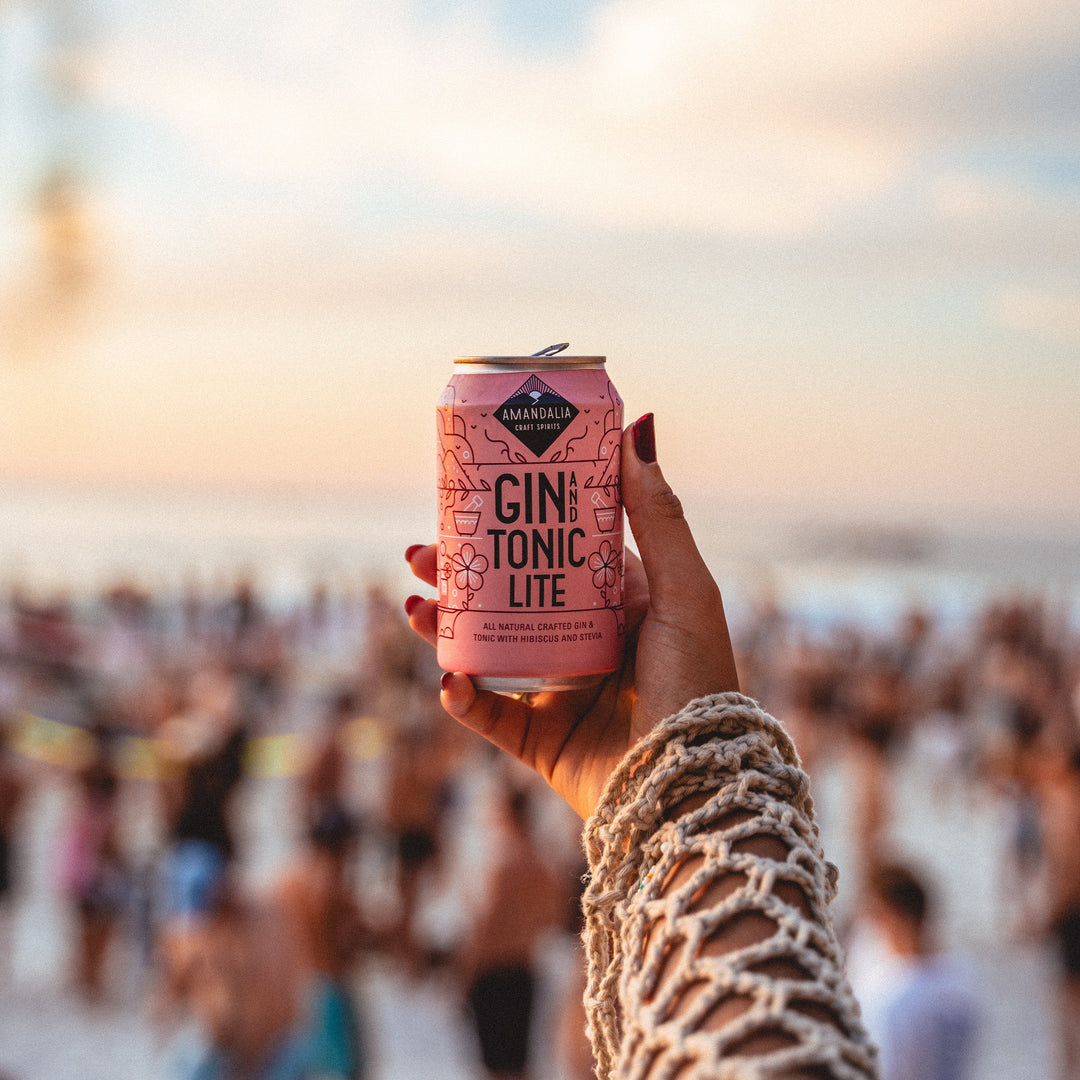 Gin & Tonic Lite – Saggy Stone Brewing Co.